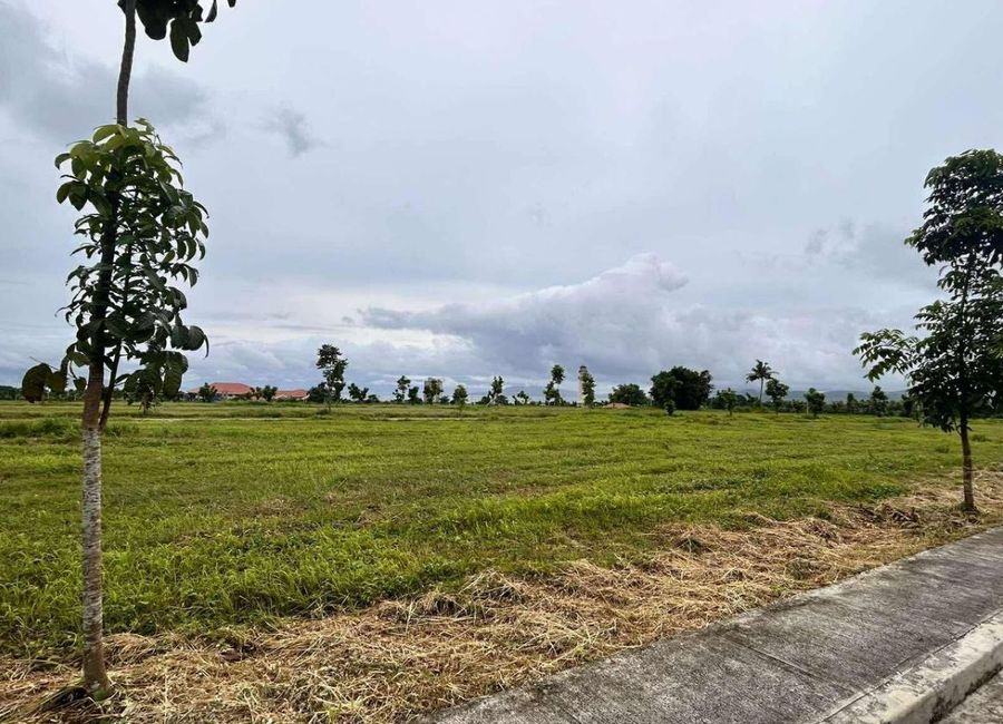 Catalina Avenue, Catalina Lake Residences, Balayong, Bauan, Batangas image 2