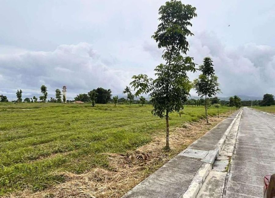 Catalina Avenue, Catalina Lake Residences, Balayong, Bauan, Batangas image 3