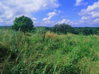 For Sale: Lot in Dasmariñas Cavite