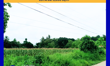 FOR SALE 5,000 sqm Lot in Darong, Sta Cruz, Davao Del Sur