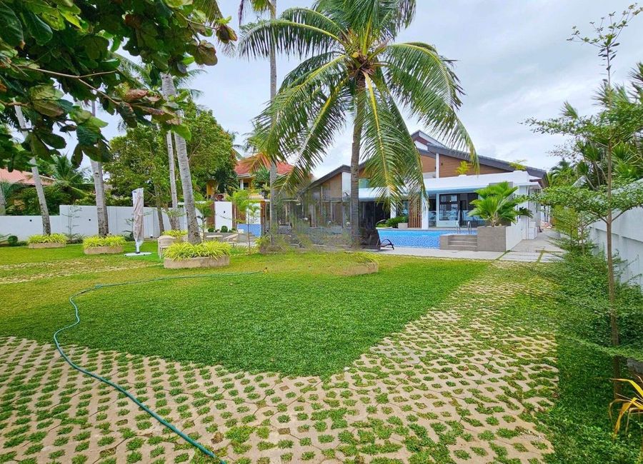 place photo 44