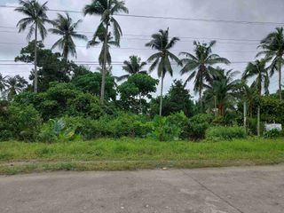 Commercial lot