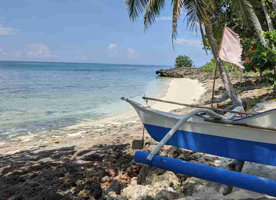 place photo 26
