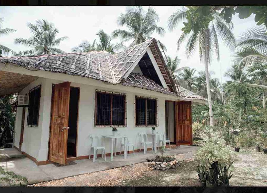 place photo 34
