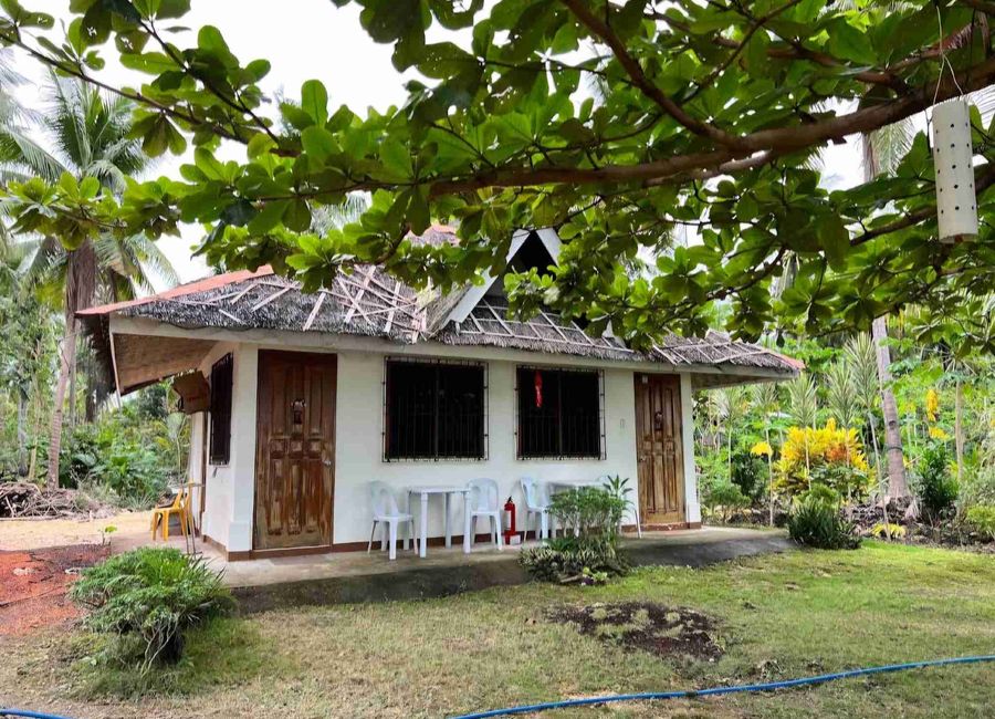 place photo 40
