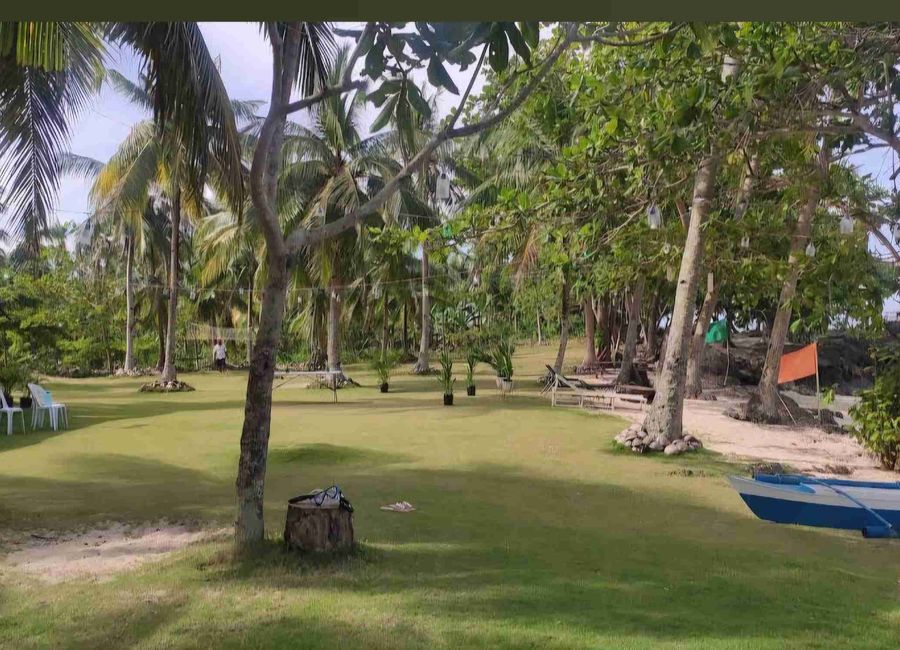 place photo 43