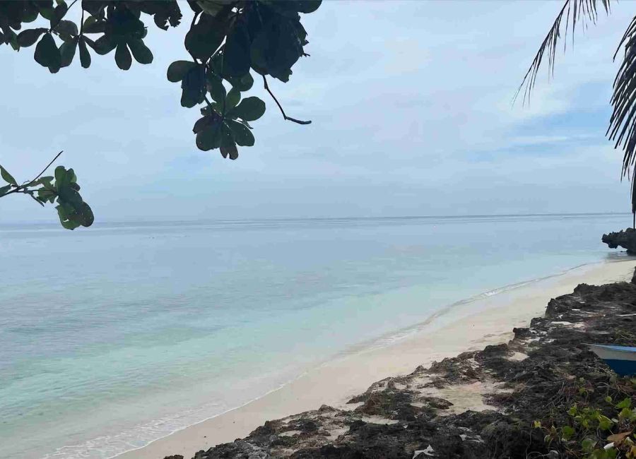 place photo 44