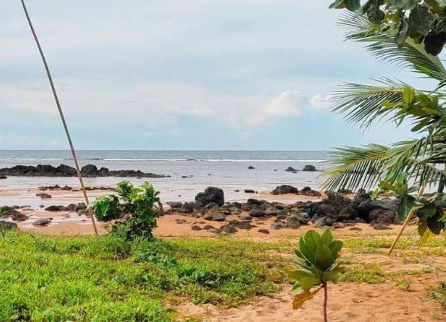 Casuguran - Apad Road, Casuguran, Jomalig, Quezon