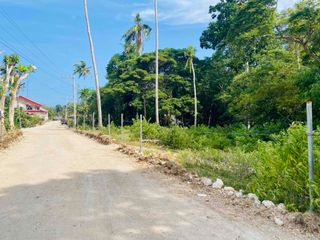 Lot for Sale in Dauis, Panglao Island, Bohol