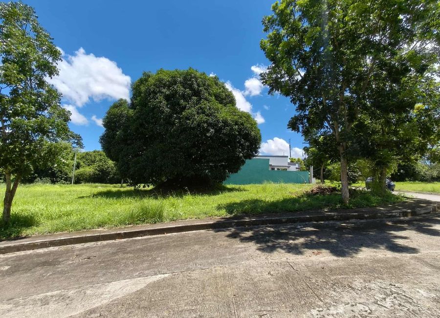 Richmond Street, The Hampton Place at Greenwoods South, Domoclay Ibaba, Sirang Lupa, Batangas, Batangas