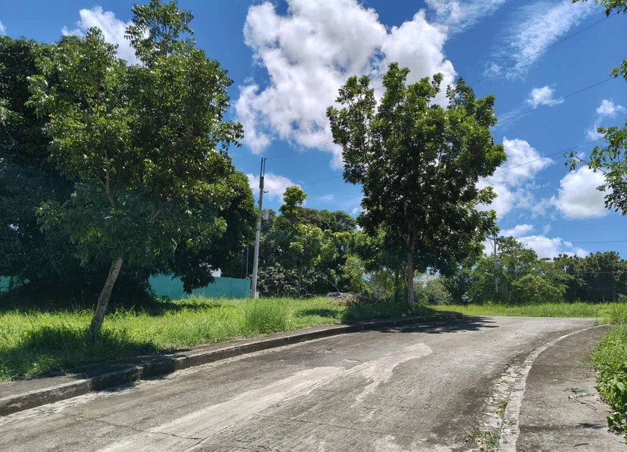 Richmond Street, The Hampton Place at Greenwoods South, Domoclay Ibaba, Sirang Lupa, Batangas, Batangas image 2