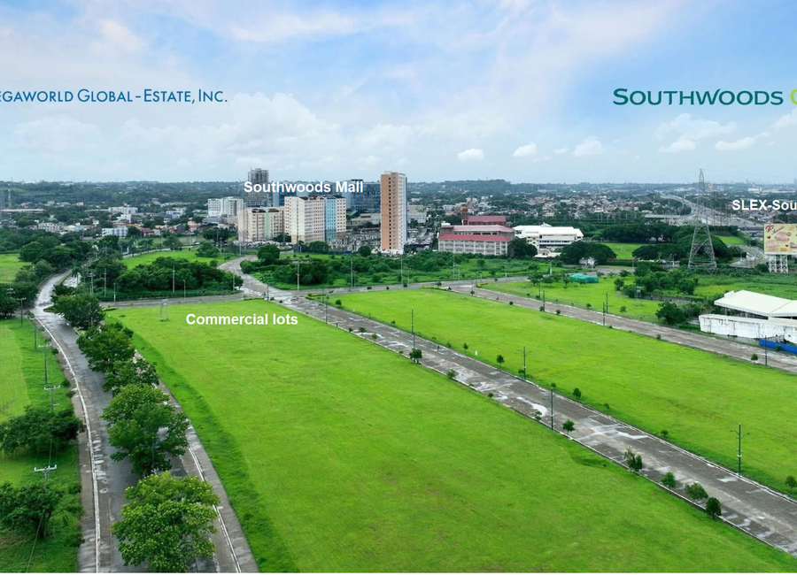Ecocentrum Avenue, Southwoods City, Biñan, Laguna image 3