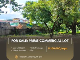 For Sale: PRIME COMMERCIAL LOT located at Tunasan, Muntinlupa City