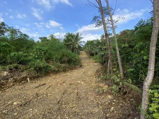 Lot for Sale in Cabawan District, Tagbilaran City, Bohol I BOHOLANA REALTY