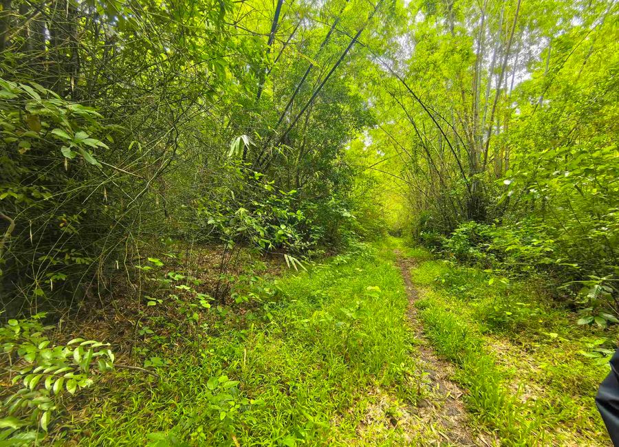 Pililia-Jalajala Road, Lakeside Park Subdivision, Yakat, Quisao, Pililla, Rizal