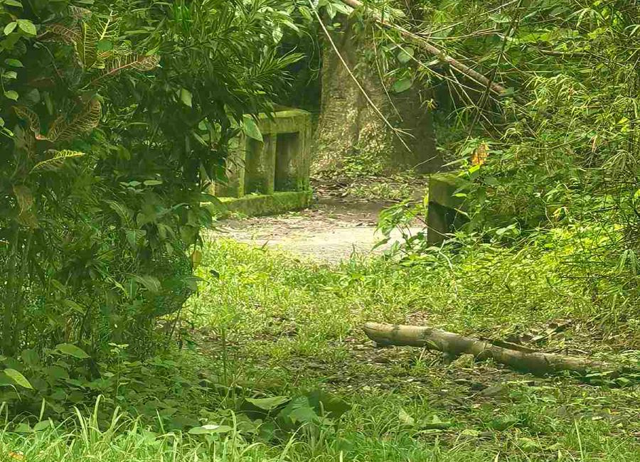 Pililia-Jalajala Road, Lakeside Park Subdivision, Yakat, Quisao, Pililla, Rizal image 2