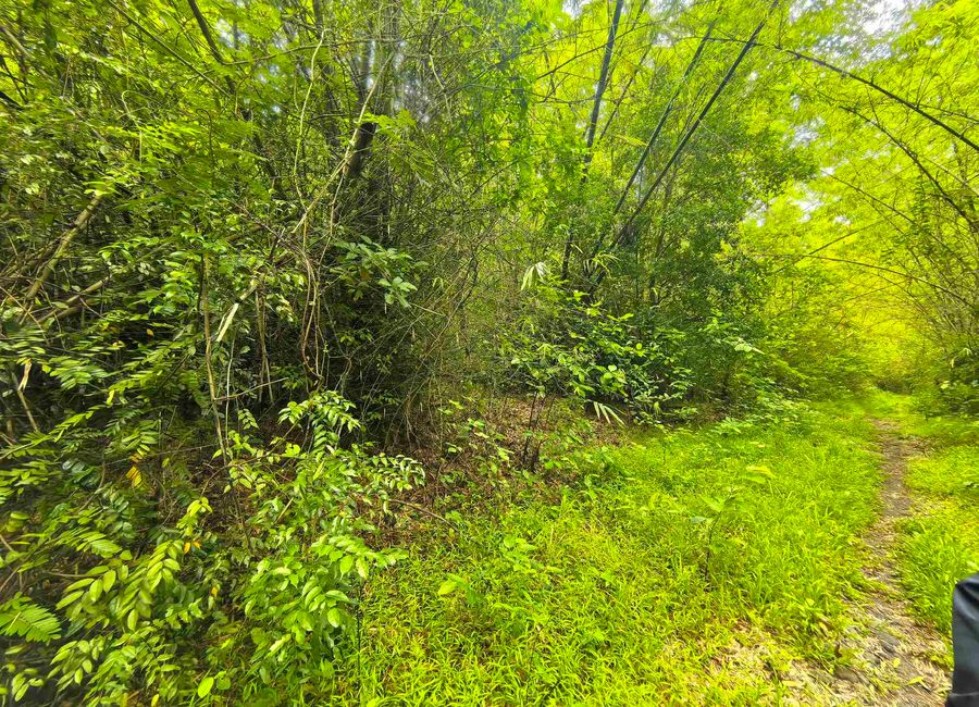 Pililia-Jalajala Road, Lakeside Park Subdivision, Yakat, Quisao, Pililla, Rizal image 3