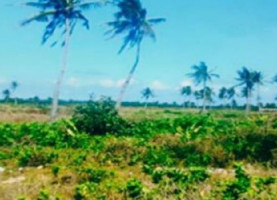 Casuguran - Apad Road, Casuguran, Jomalig, Quezon image 3