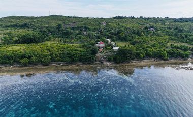 BEACH HOUSE CLIFFSIDE and FARM INCOME GENERATING FOR SALE IN LOON BOHOL