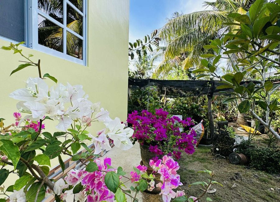 place photo 29
