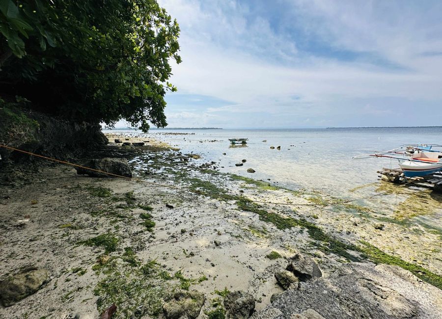 place photo 36