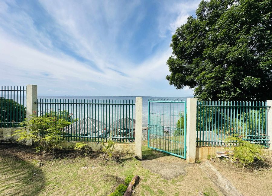 place photo 37