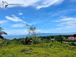 FARM LOT WITH HOUSE & COMMERCIAL BUILDING FOR SALE