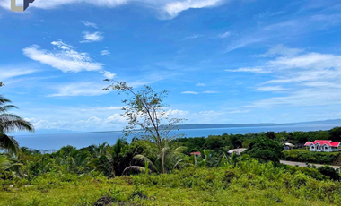 FARM LOT WITH HOUSE & COMMERCIAL BUILDING FOR SALE