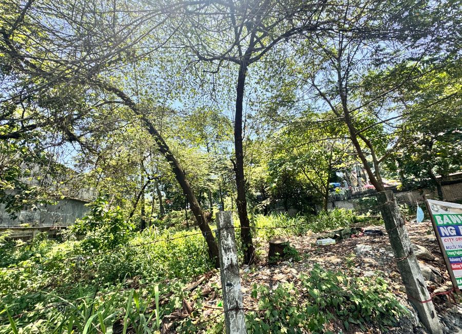 San Jose Street, St. Benedict's Executive Village, San Isidro, Antipolo, Rizal image 2
