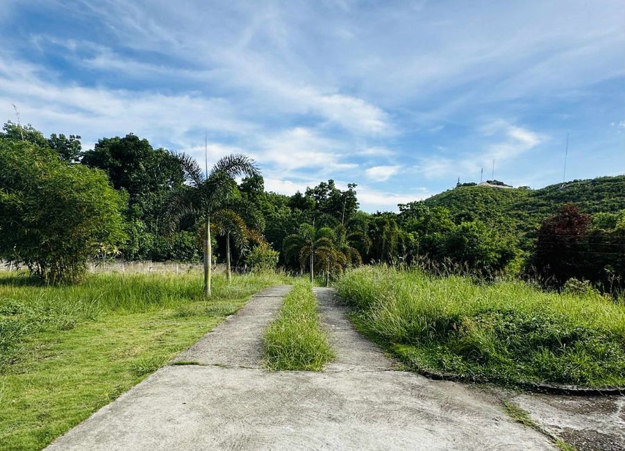 place photo 19