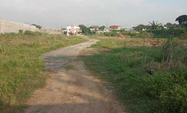 2 Vacant Lots for Sale - Taguig City