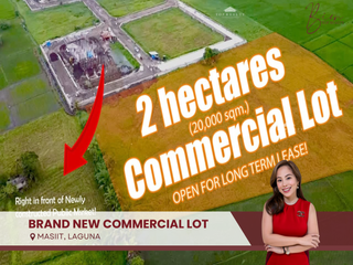 Income Generating 2 Hectares / 20,000 SQM Brand New Commercial Lot for Rent in Masiit, Laguna