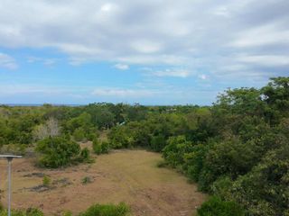 FOR SALE – 1 hectare Prime Highway Lot Near San Isidro Elementary School I BOHOLANA REALTY