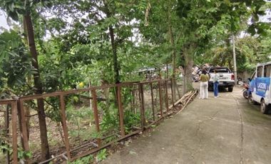 Massive Potential ROI! 4,094 SQM Lot in Prime Cordova, Cebu—Feasible for 40+ Townhouse Units