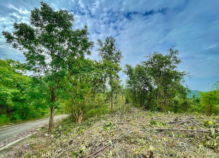 Forest Hills Avenue, Lower Tulakin, Bagong Nayon, Antipolo, Rizal image 2