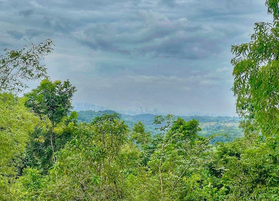 Forest Hills Avenue, Lower Tulakin, Bagong Nayon, Antipolo, Rizal image 3