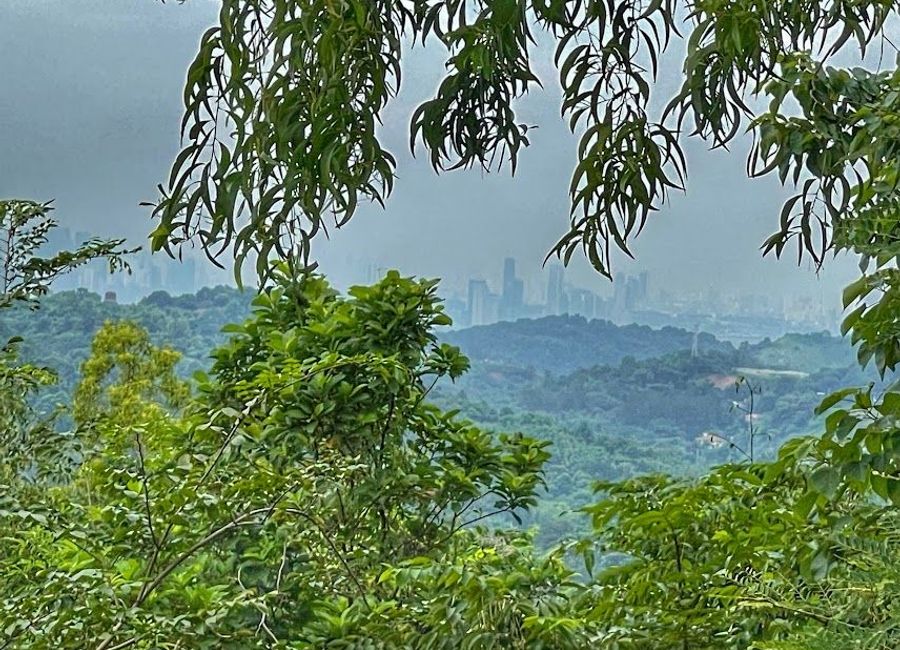 Forest Hills Avenue, Lower Tulakin, Bagong Nayon, Antipolo, Rizal