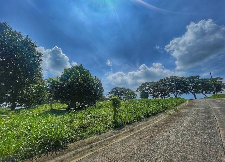 Forest Hills Avenue, Lower Tulakin, Bagong Nayon, Antipolo, Rizal