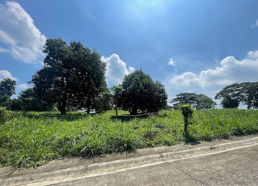 Forest Hills Avenue, Lower Tulakin, Bagong Nayon, Antipolo, Rizal image 2