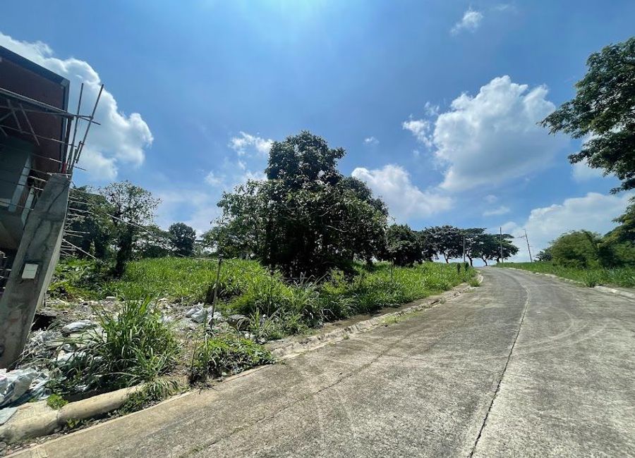 Forest Hills Avenue, Lower Tulakin, Bagong Nayon, Antipolo, Rizal image 3