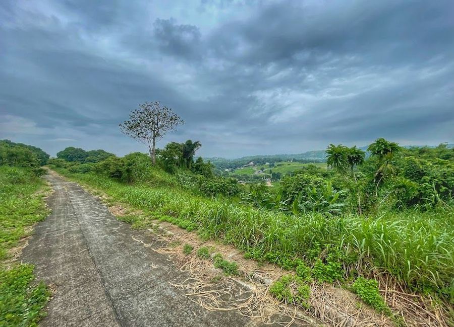 Forest Hills Avenue, Lower Tulakin, Bagong Nayon, Antipolo, Rizal image 2