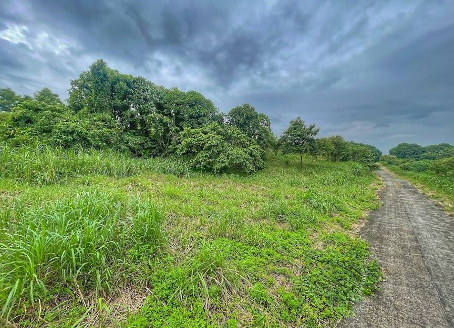 Forest Hills Avenue, Lower Tulakin, Bagong Nayon, Antipolo, Rizal image 3