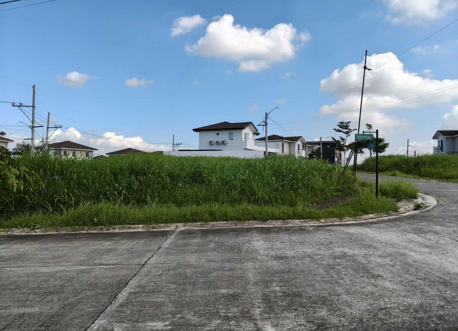 Hillcrest Drive, Hillcrest Estates, Canlubang, Calamba, Laguna image 3