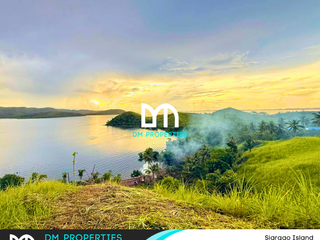For Sale: Beachfront Property in Siargao Island, Mindanao, Philippines