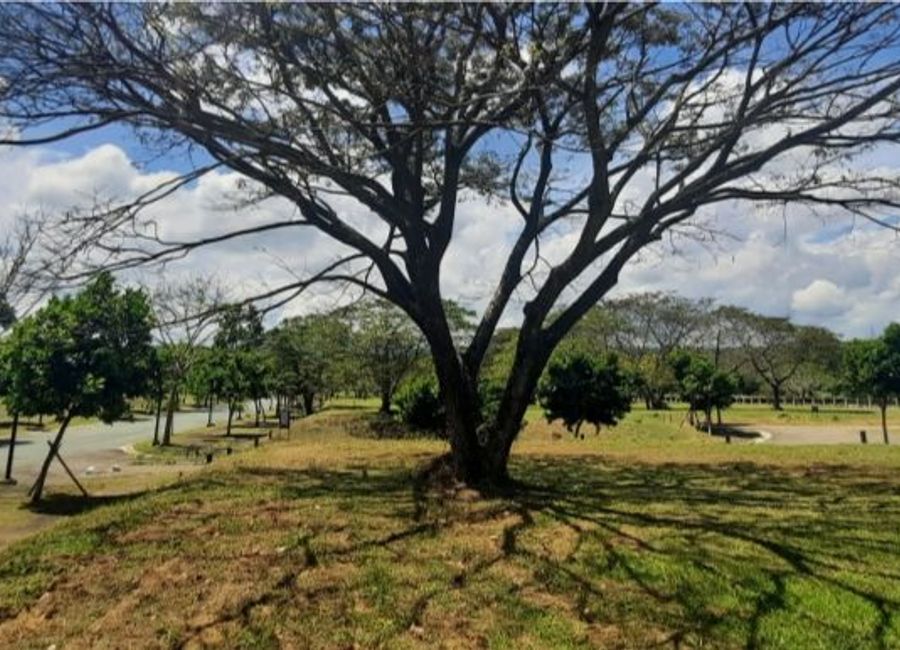 Luscara, Canlubang, Calamba, Laguna image 2