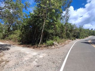 Development Lot in Solangon, San Juan, 1250 php/sqm, 16,840 SQM