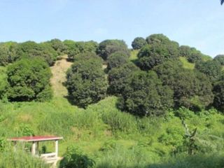 Agricultural property for sale in San Miguel, Bohol