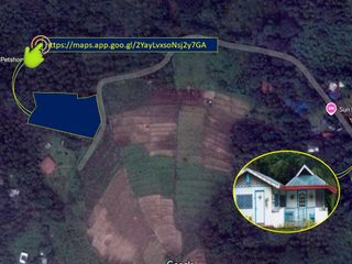 ABANDONED RESIDENTIAL LOT