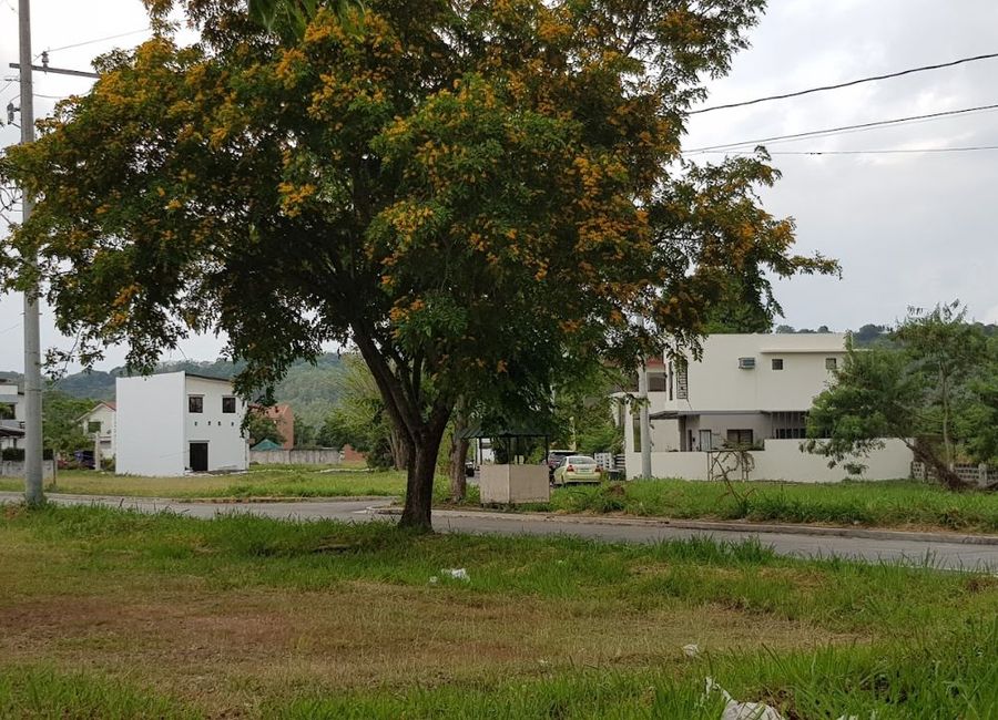 Madrid Avenue, Palma Real Residential Estates, Malamig, Biñan, Laguna image 2