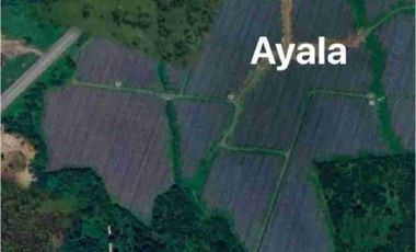 10 hectares land in Laguna for sale,near Ayala and smdc